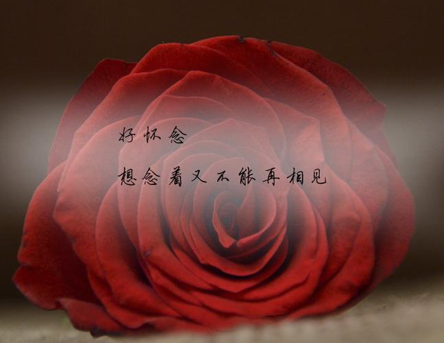 心心念念的唯美句子全人物解锁游戏截图