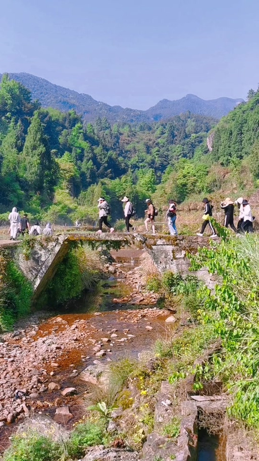仙居红五
