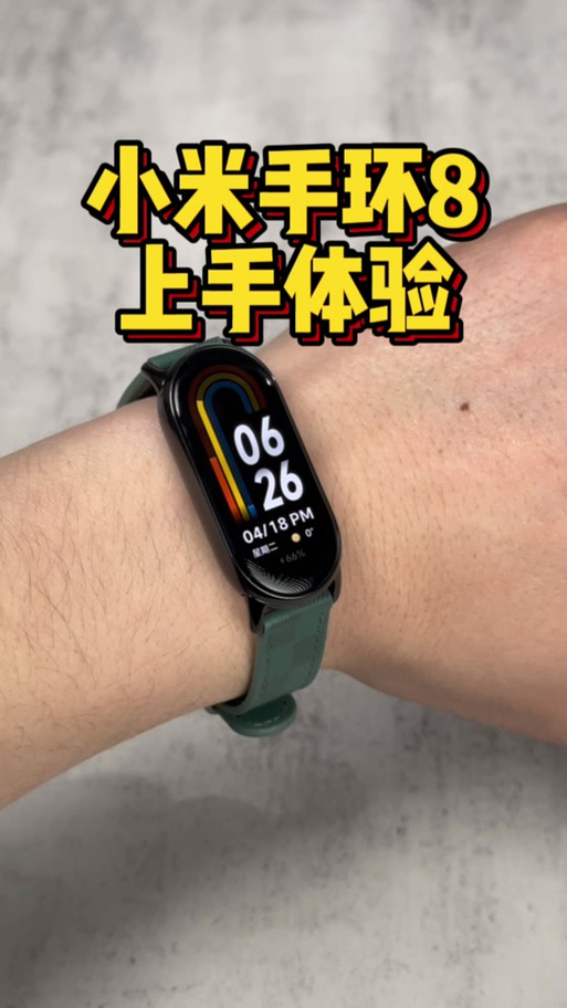 vivo手机可以用小米手环吗免谷歌汉化版游戏截图