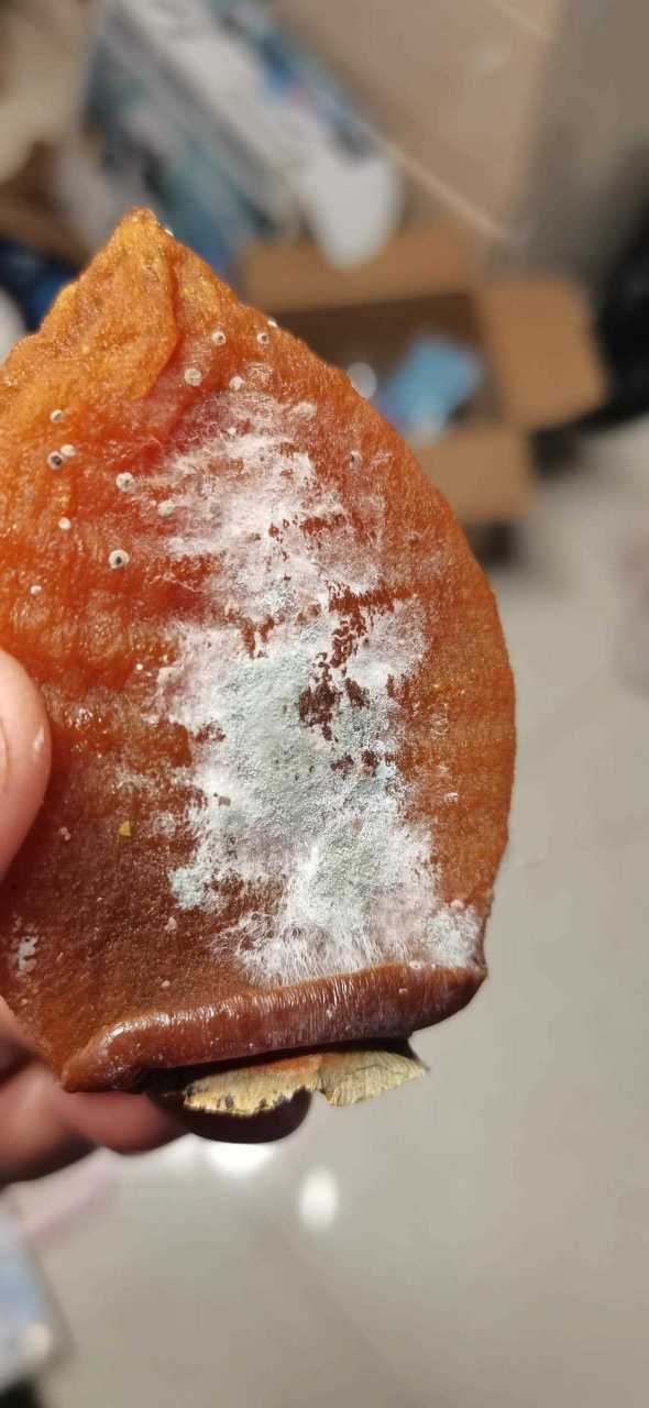 柿饼怎样算坏了