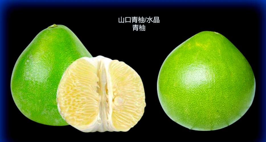 青柚阅读官网修改版游戏截图