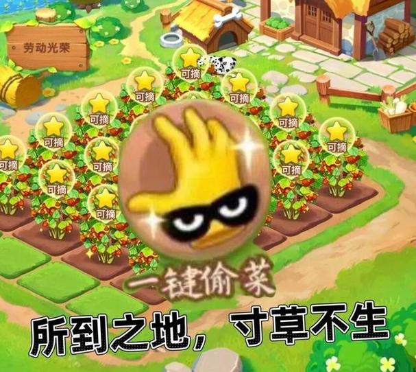 偷菜红包之开心农场永久会员兑换码游戏截图