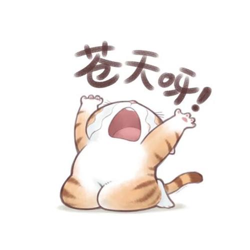 光遇表情包gif