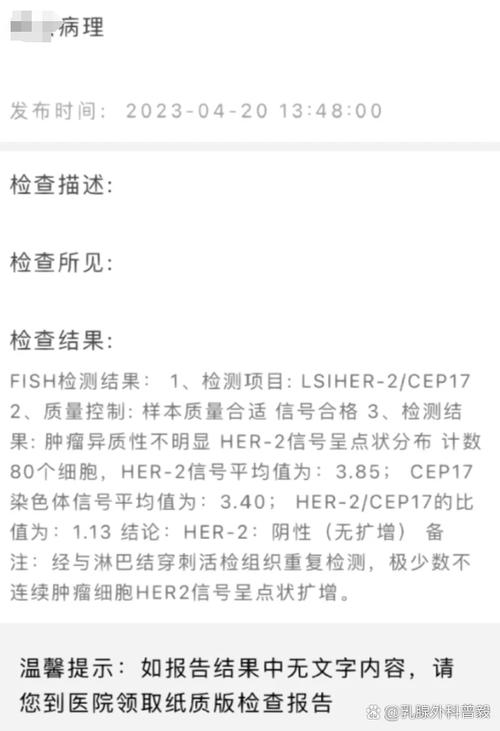 FISH检测是什么意思