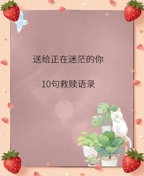 相册密码和问题都忘了