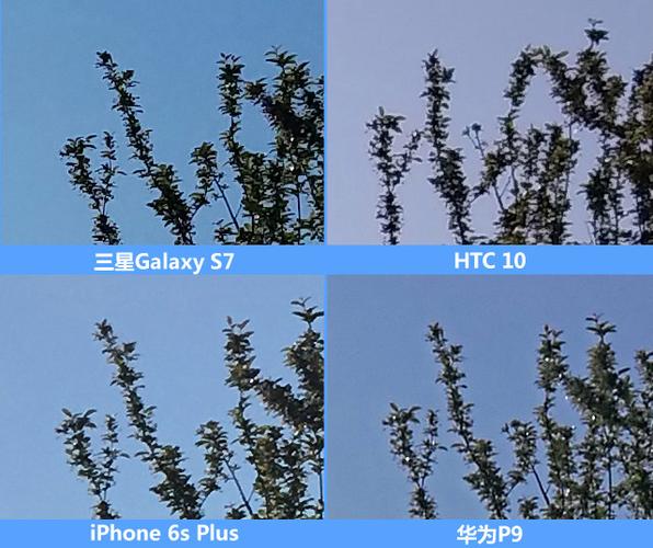 荣耀magic8pro和vivox300pro哪个拍照更好