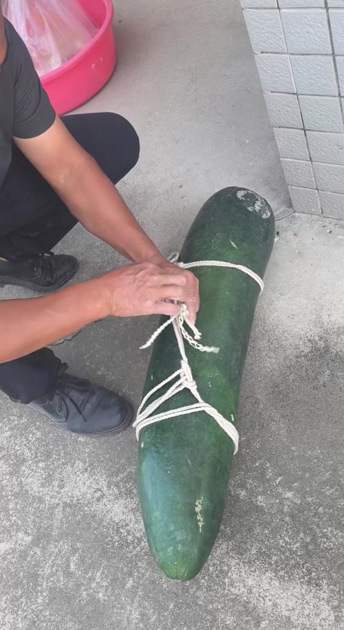 萨满老于搬杆子视频