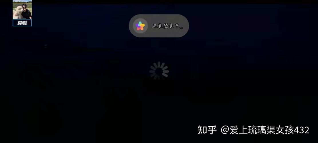 光遇辅助工具悬浮窗免排队游戏截图
