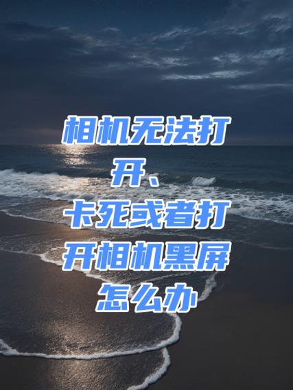手机相机老是闪退怎么办中文版免费下载游戏截图