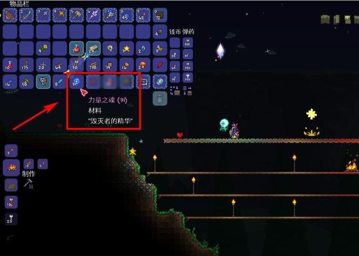 泰拉瑞亚泰拉之魂