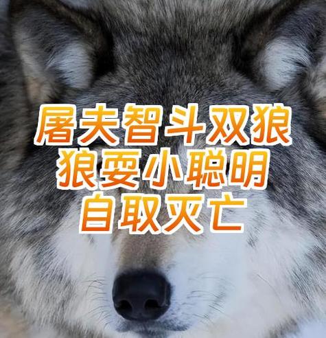 魔兽世界80级狼位置
