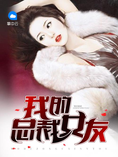 我的总裁女友二破解版