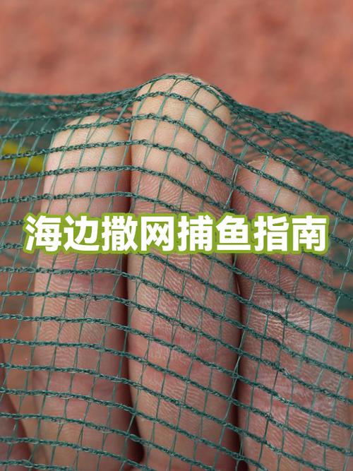 撒网价格表一览表