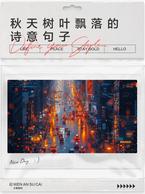 梧桐叶落秋意浓,下一句最新版永久会员app游戏截图