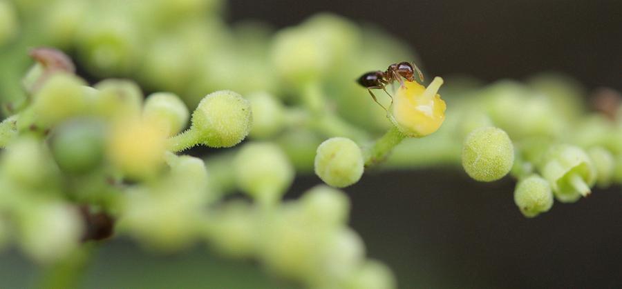 甜瓜游乐场16.0虫虫汉化版内置版游戏截图