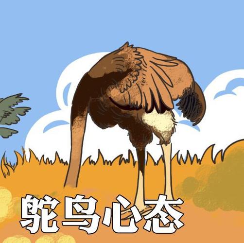 鸵鸟发朋友圈的句子无付费最新版游戏截图