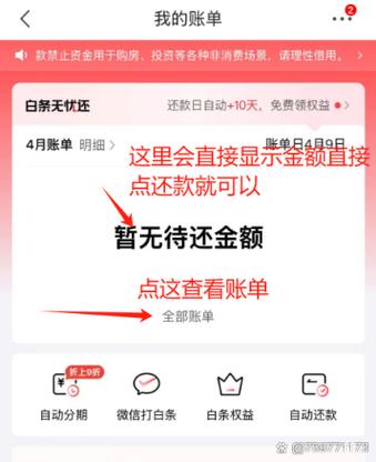 京东白条是什么时候还