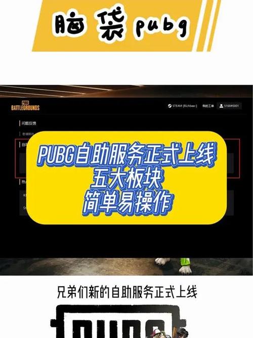 pubg自助服务网站