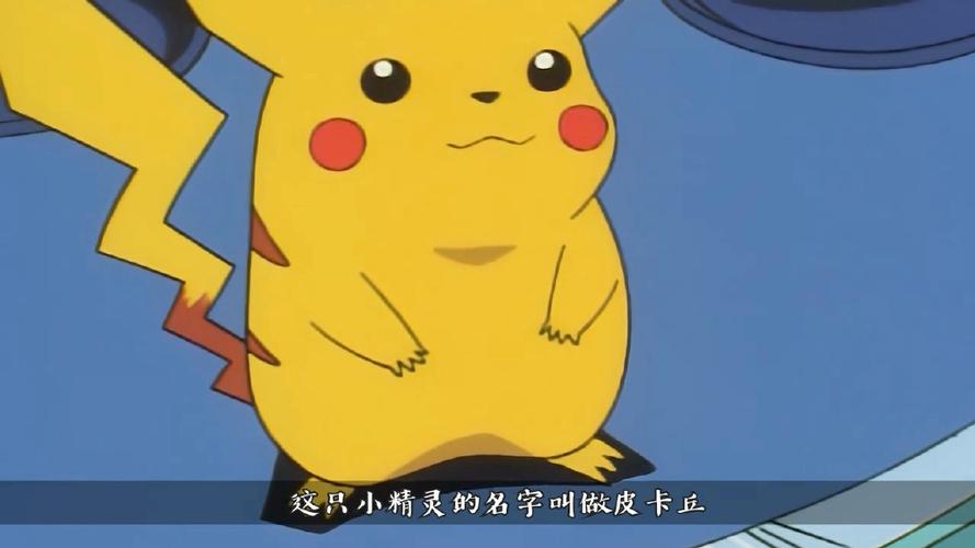 一口气看完精灵宝可梦