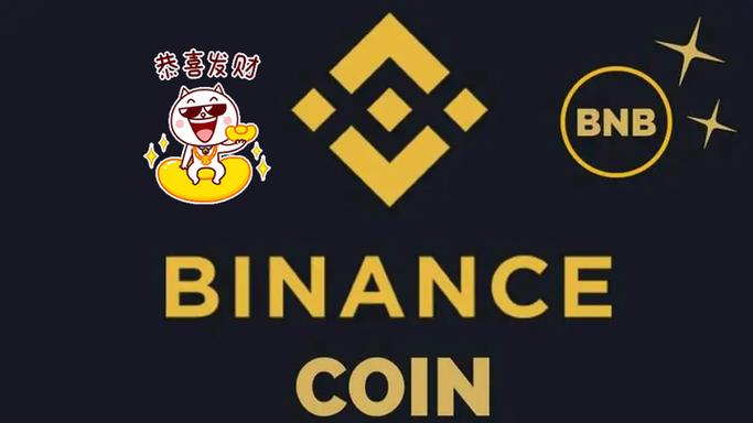 bnb下个牛市会涨到多少