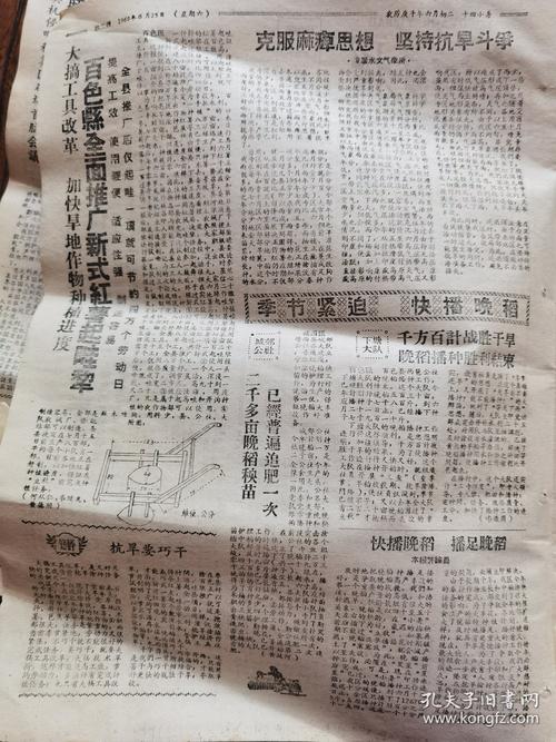 右江日报电子版