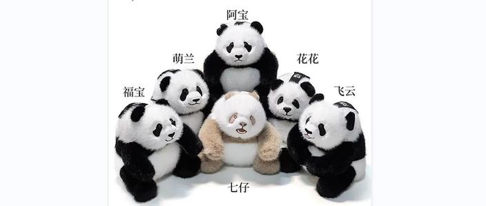 熊猫框架7.0最新修改版游戏截图