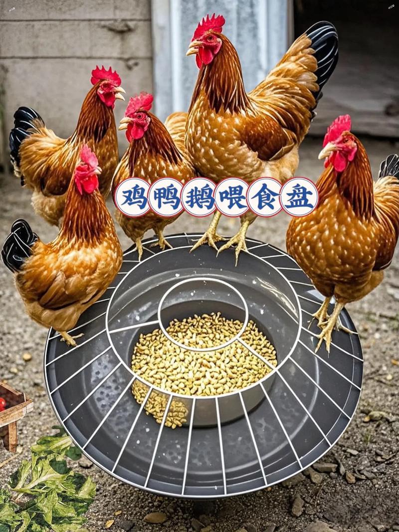 吃鸡自瞄锁头辅助器下载缩略图