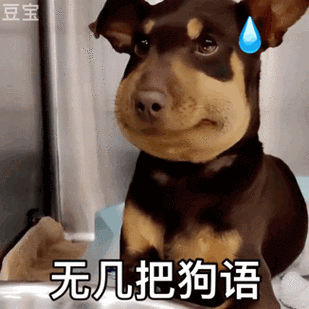 狗翻译器在线翻译不卡顿游戏截图