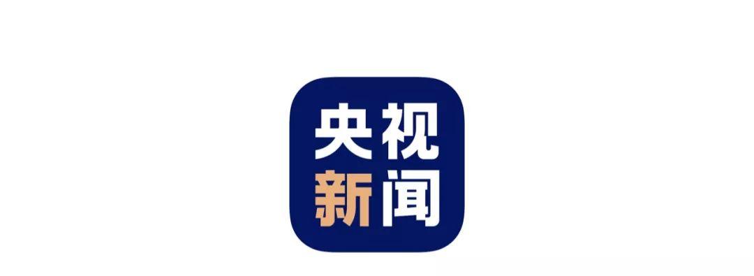 央视新闻客户端app下载春节版游戏截图