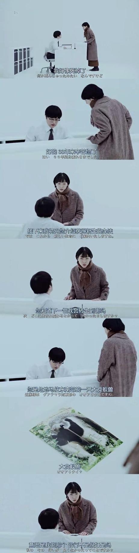 重启人生2
