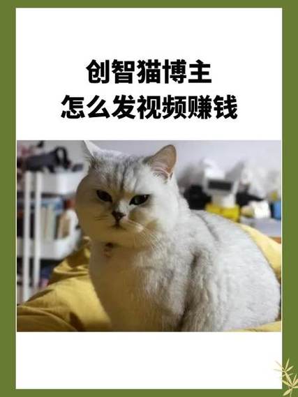 创智猫靠什么赚钱