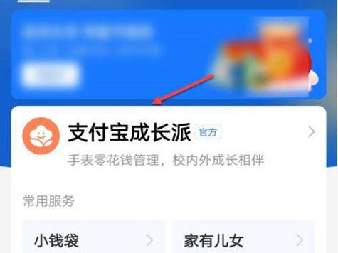 小天才d2支持支付宝付款吗