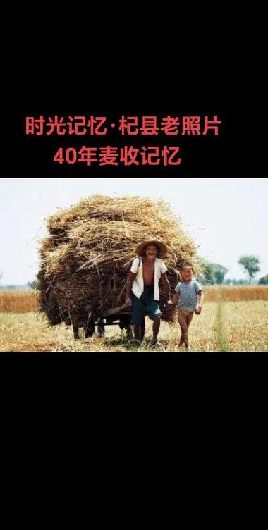 抖音老旧版本大全所有历史版本免费阅读游戏截图