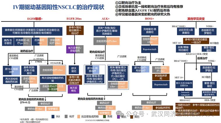 三代EGFRi发明人
