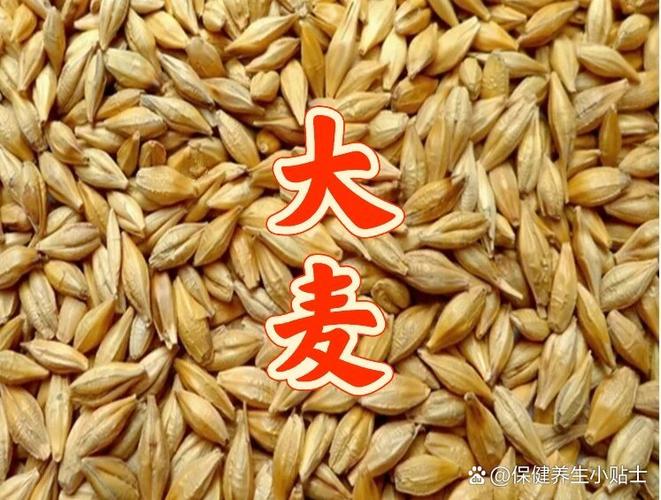 大麦网官网订票app缩略图