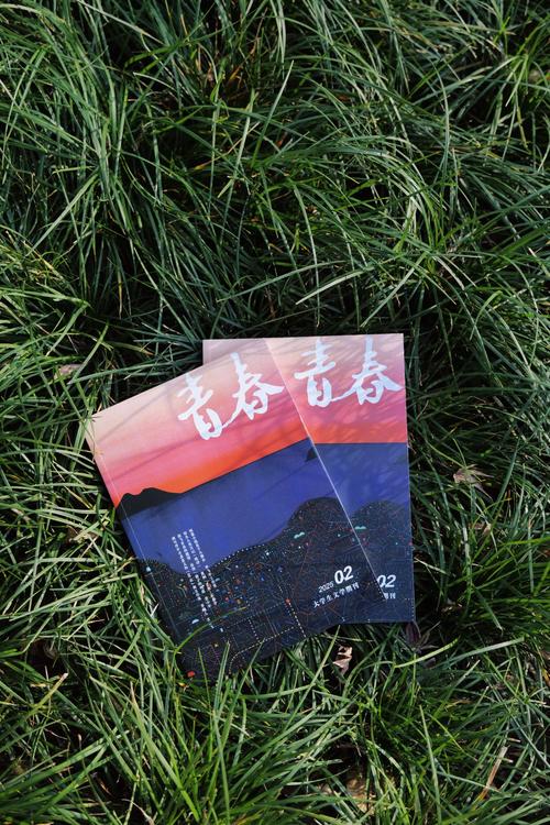 青春修炼营vpdn设置