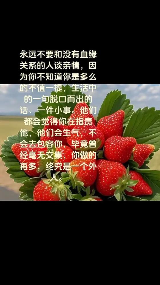 永远只是个外人的句子