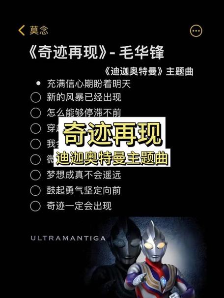 《奇迹再现》毛华锋原唱视频
