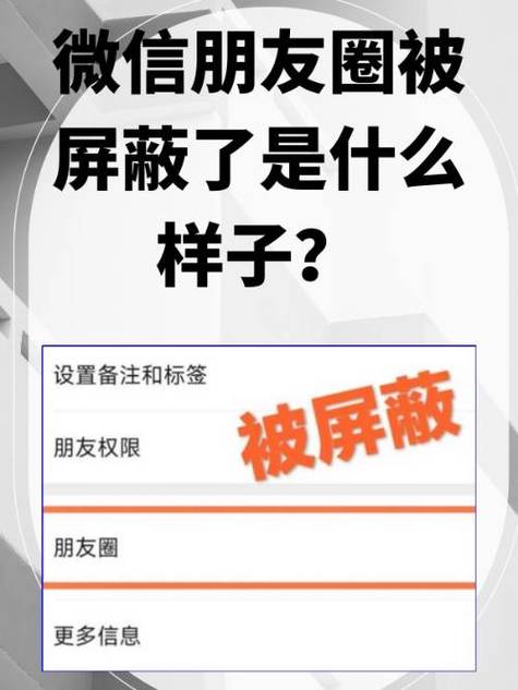 微信怎么屏蔽朋友圈