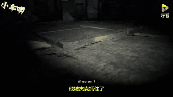 生化危机7佐伊必死吗