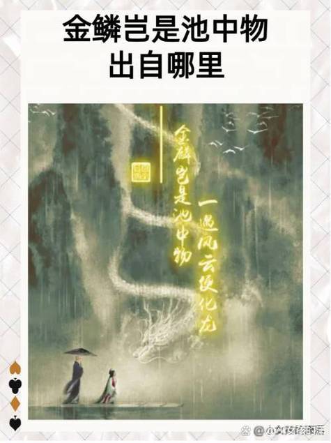 2019香港马会小说