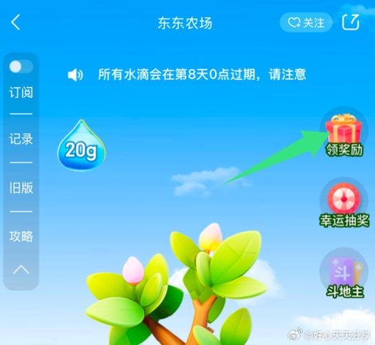 京东东东农场为什么进不去