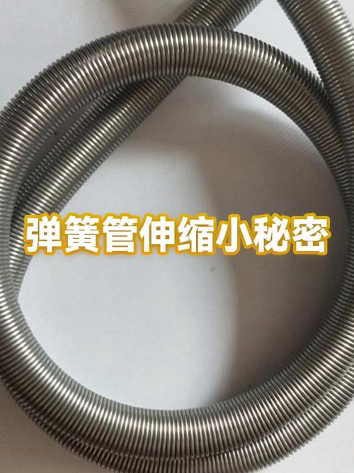 弹簧伸缩扣怎么穿进去