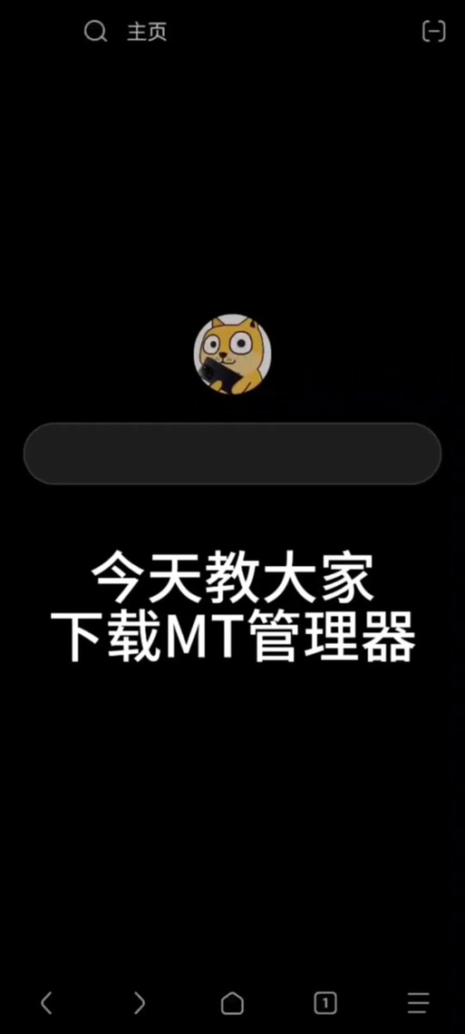 mt管理器美化包教程直装版游戏截图