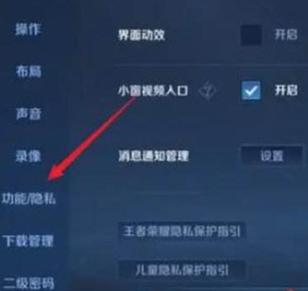 王者隐身在哪开
