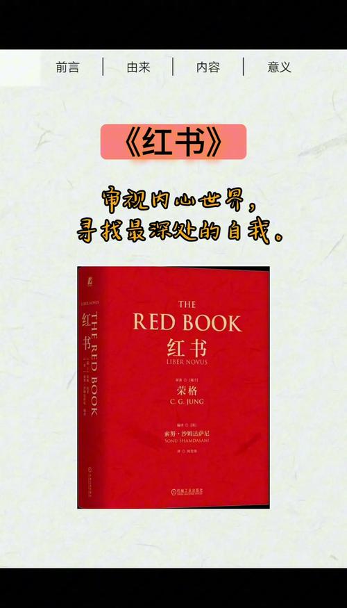 红柚阅读官网下载缩略图