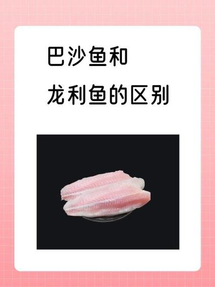 沙鱼都都视频