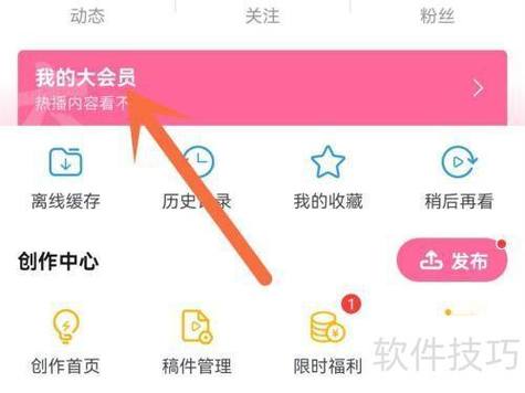 b站大会员领取共享极速版app游戏截图