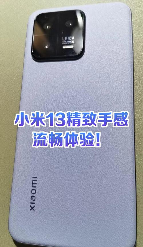 哪里的小米最好