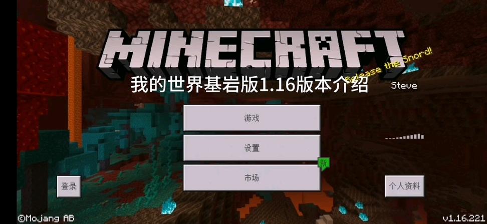 我的世界1.16.0基岩版下载
